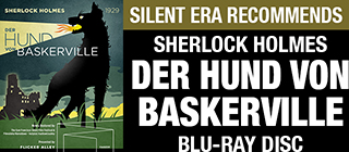 Der Hund von Baskerville BD